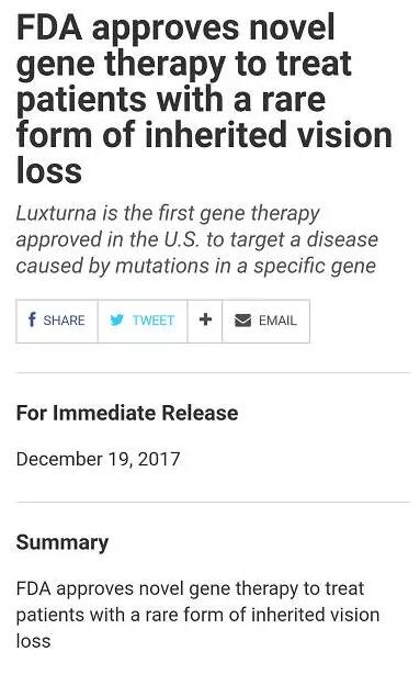 雷柏氏先天性黑朦2型患者将陆续用上基因医治药物”庞教授欣喜的说到。Luxturna这一药物的 获批，使原本无药可治的遗传眼病患者看到了曙光，也让几十年来的研究努力， 次得到了真正的“兑现”。.jpg