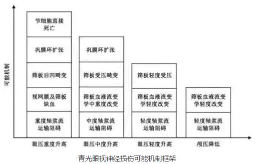 2016年在美国眼科学与视觉科学年会和世界青光眼大会上，与会者均就眼颅压力梯度问题进行了主题研讨，并且特别召开了“眼颅压力梯度相关疾病环球高峰论坛”，对眼颅压力梯度在青光眼领域可能产生的临床指导作用进行了讨论，专家们提出了建议并达成了部分共识。2.jpg