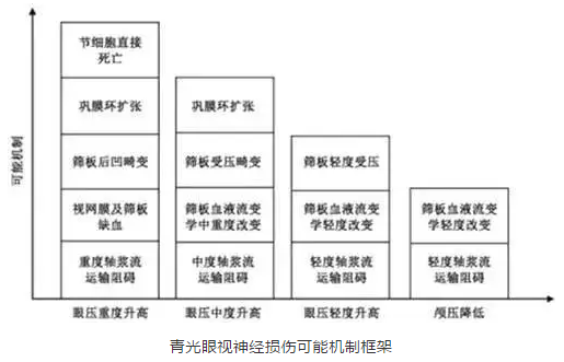 华厦眼科学术课堂：眼颅压力梯度在青光眼视神经损伤机制中作用2.png